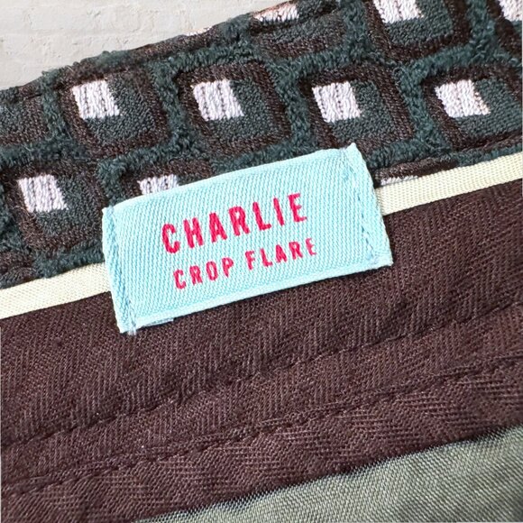 ANTHROPOLOGIE Cantonieer Loire Green Motif Charlie Crop Flare Trousers Pants 10P - Picture 4 of 7